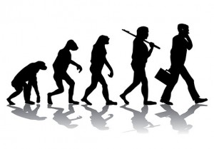 12 эволюция